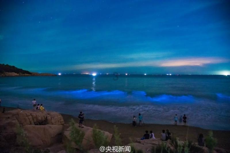 飙酷车神