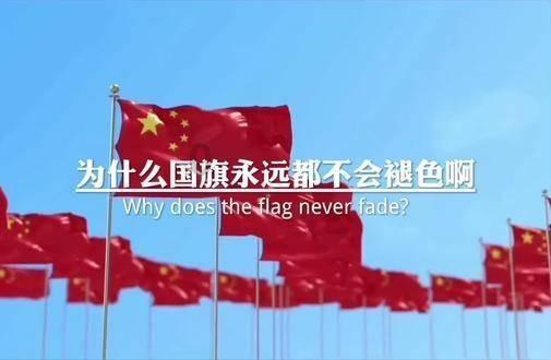 学习插花艺术